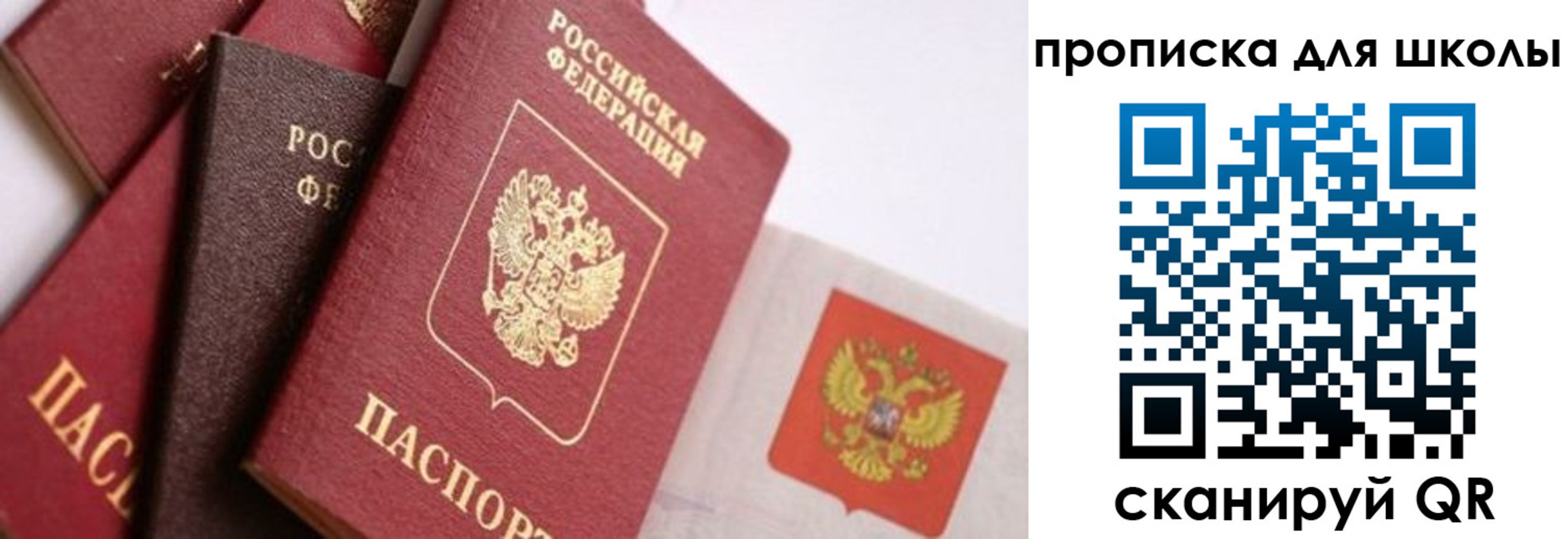 прописка поиск в Сорочинске